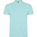 Heren Polo Star Roly PO6638 Green Mint